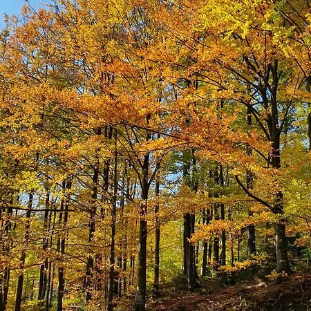 Pod Klodka * Kamesznica