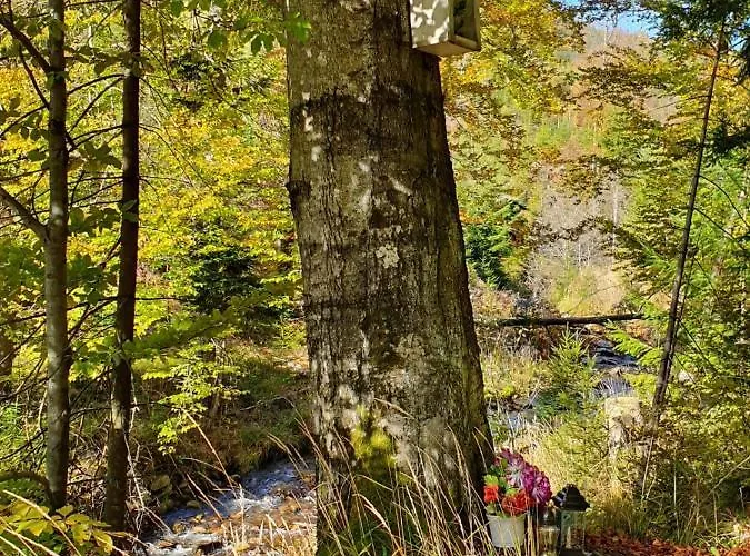 בקתה Pod Klodka *