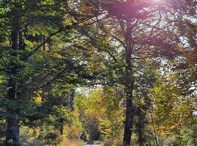 Pod Klodka Kamesznica